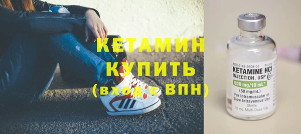 шишки Бородино