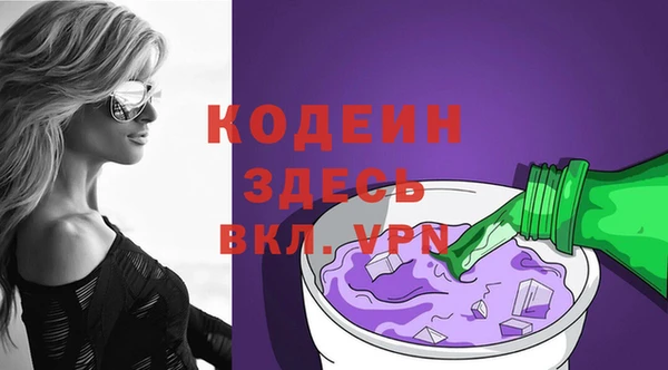 шишки Бородино