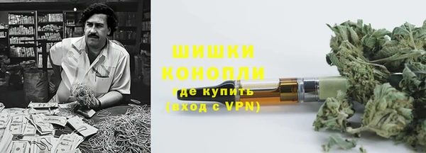 шишки Бородино