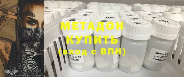 шишки Бородино