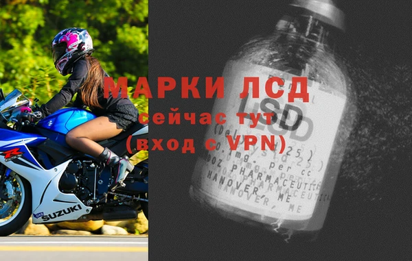 шишки Бородино