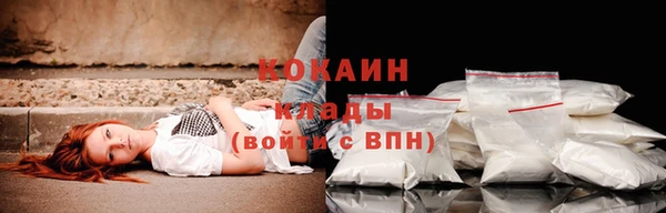 ешки Бронницы