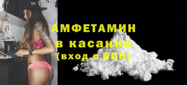 шишки Бородино