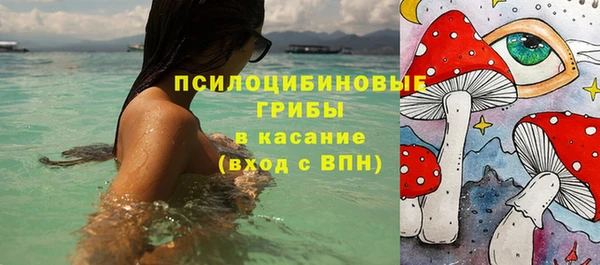 шишки Бородино
