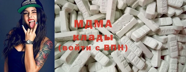 шишки Бородино